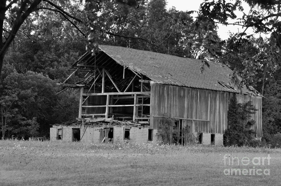 The Old Barn Out Back Photograph by Pamela Baker