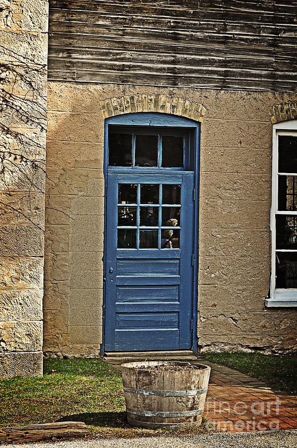 The Old Blue Door Photograph by Mary Machare