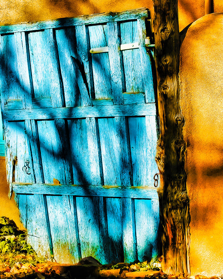 The Old Blue Door Photograph by Terry Fiala