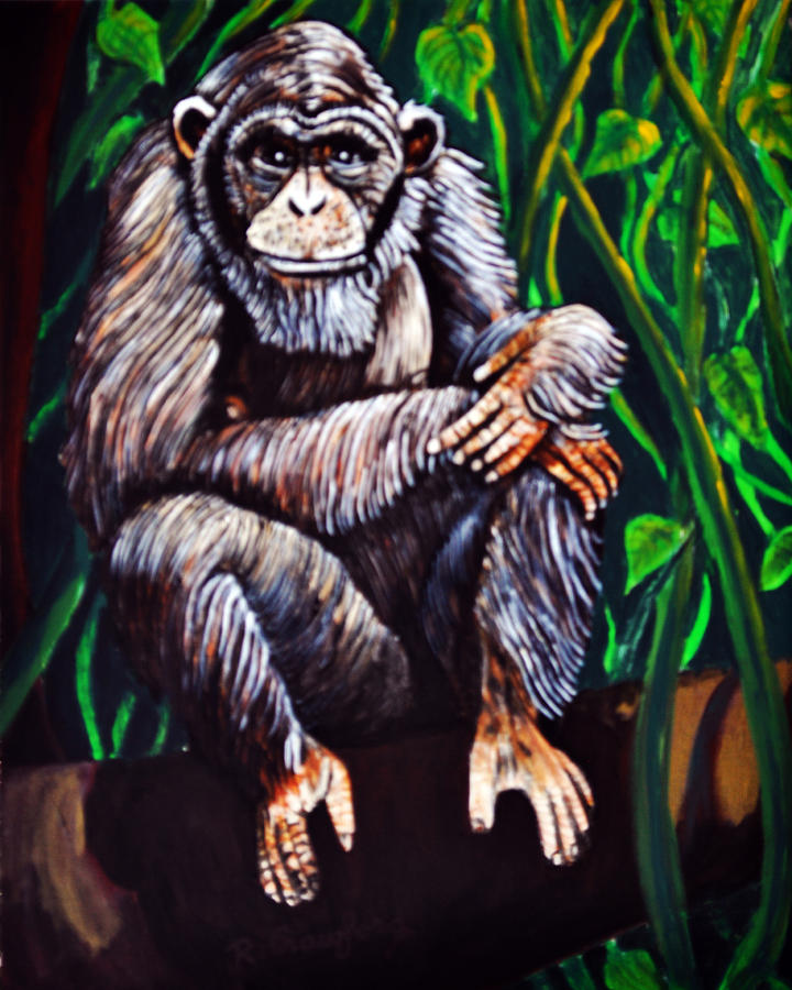 The Old Chimp Painting by Bob Crawford Fine Art America