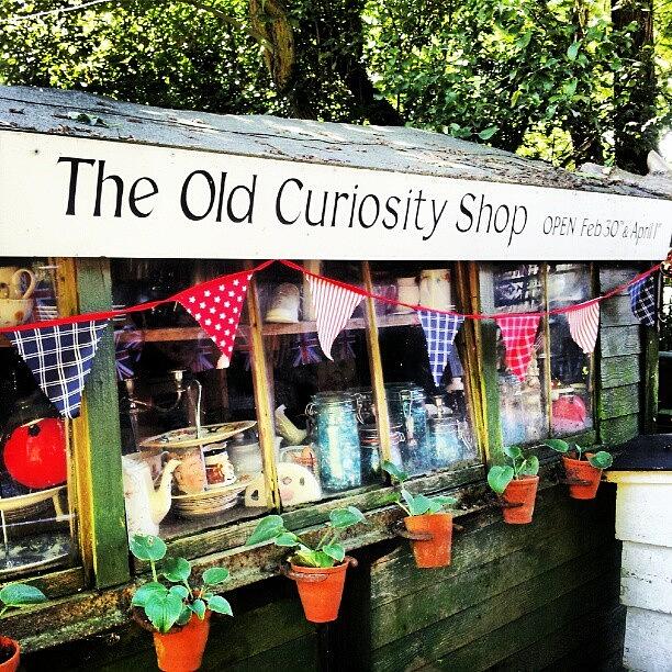 Bunting Photograph - The Old Curiosity Shop by Natasha Futcher