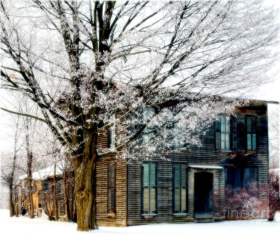 The Old Frost House Photograph by Terry Doyle