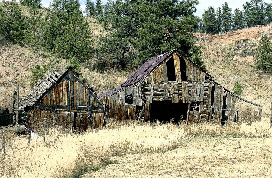 The Old Homestead Photograph by James Steele