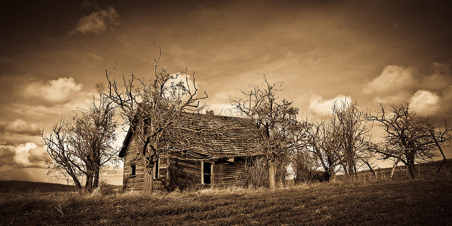 The Old House Photograph by Steve McKinzie