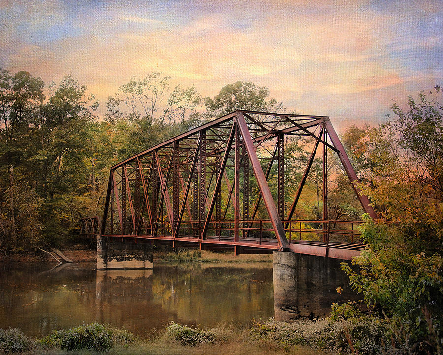 The Old Iron Bridge Photograph by Jai Johnson
