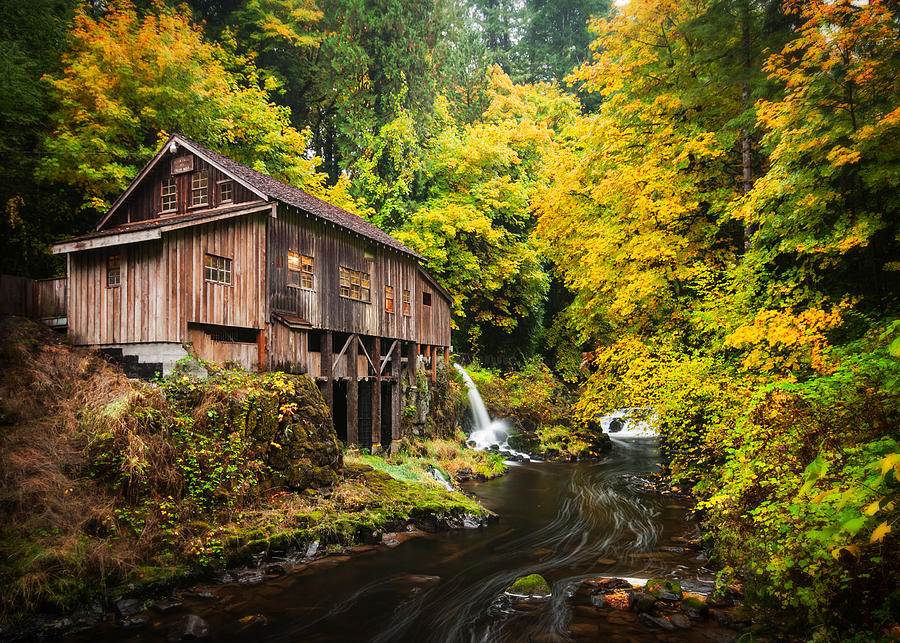 The Old Mill Photograph by Brian Bonham