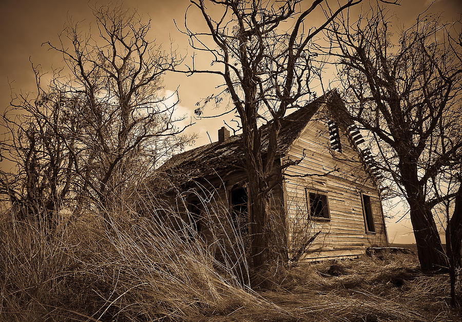 The Old Ranch House Photograph by Steve McKinzie
