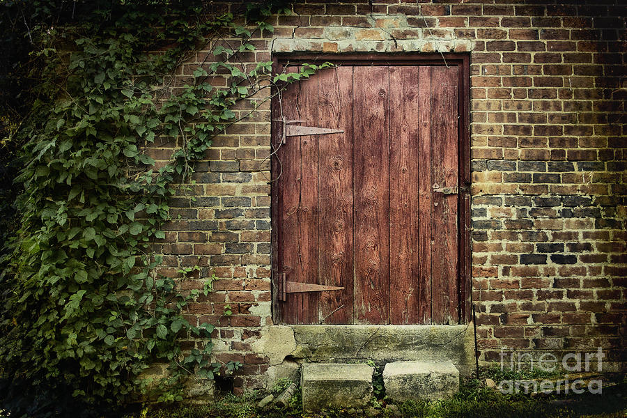 The Old Red Door Photograph by Sari Sauls