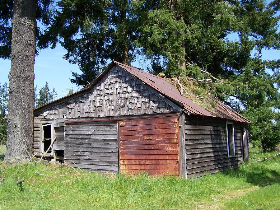 The Old Shed Photograph by Laurie Kidd - Fine Art America