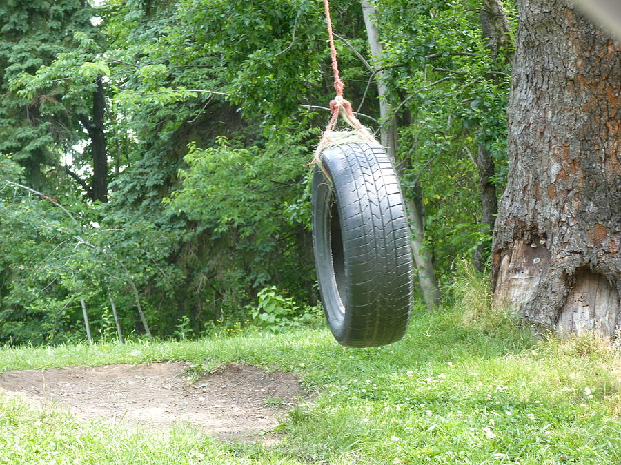 The Old Tire Swing Photograph by Jeanette Oberholtzer