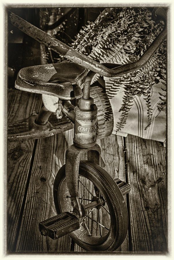 The Old Tricycle Photograph by James Woody
