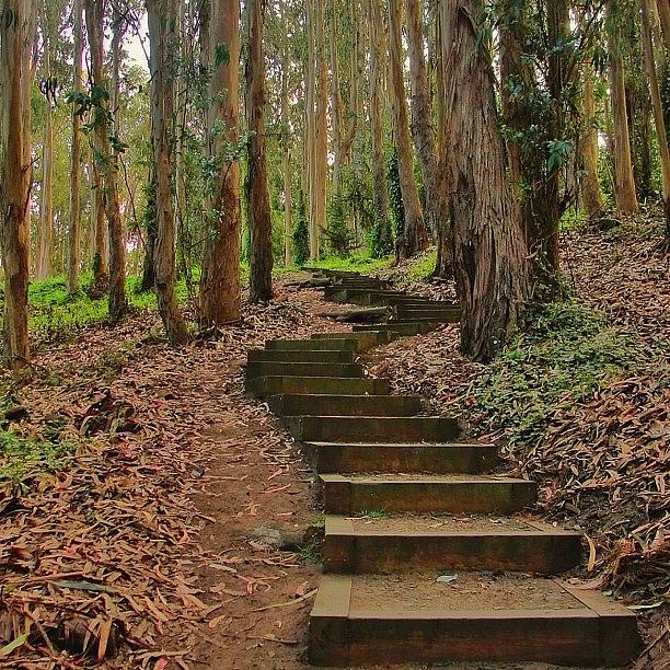 Nature Photograph - The One Thousand Steps Trail by Karen Winokan