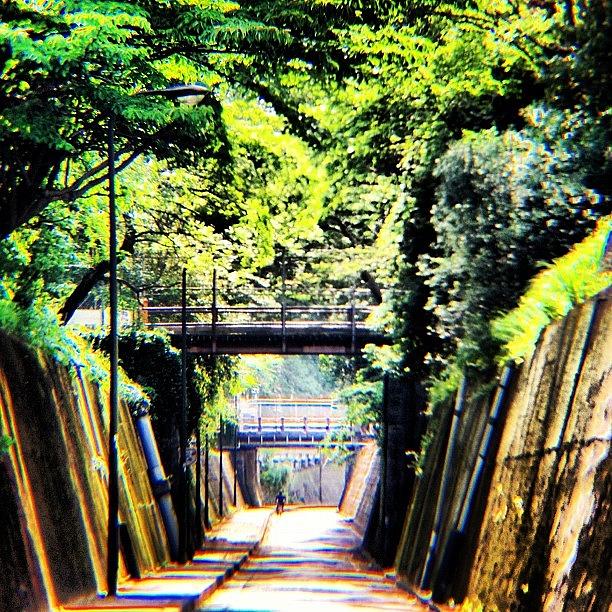 Japan Photograph - The Open Underground Tunnel Road For by Julianna Rivera-Perruccio