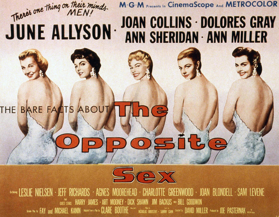 Movie Photograph - The Opposite Sex, June Allyson, Joan by Everett