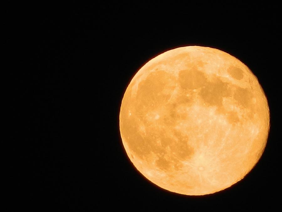 Moon colors. Оранжевая Луна. Желтая Луна. Огромная оранжевая Луна. Луна оранжевого цвета.