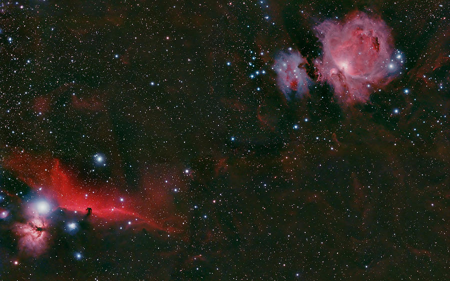 The Orion Complex Photograph by Dale J Martin