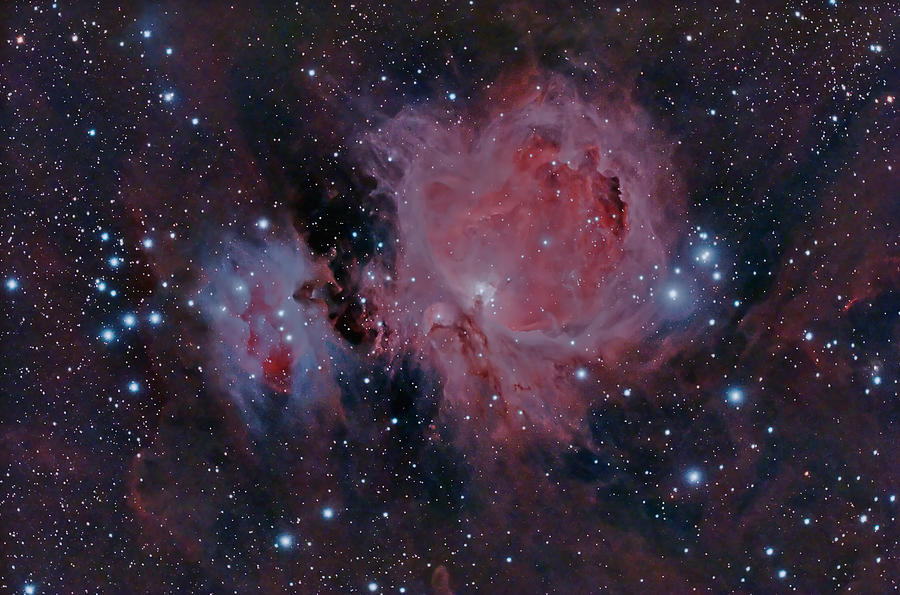 The Orion Nebula M42 Photograph by Dale J Martin