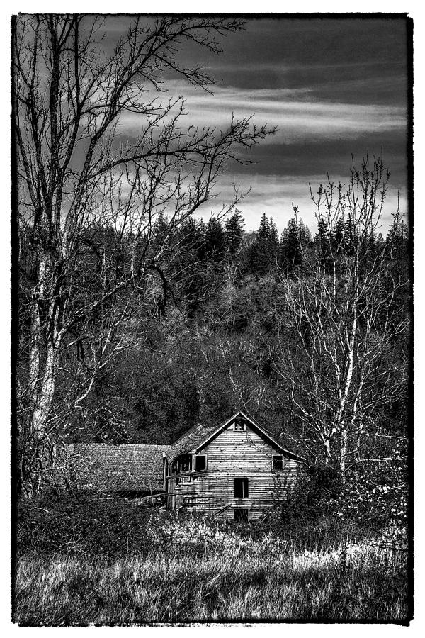 The Orting Barn Photograph by David Patterson The Orting Barn Photograph by David Patterson