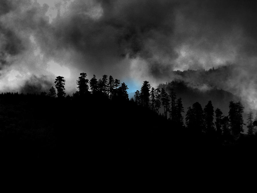 Forest Fires Photograph - The other side of Darkness by Rick Mutaw