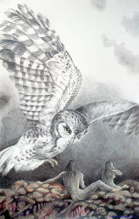 The Owl of Athena Drawing by Kyra Belan