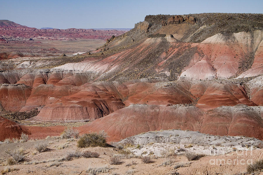 The Painted Desert  8013 Photograph by James BO Insogna