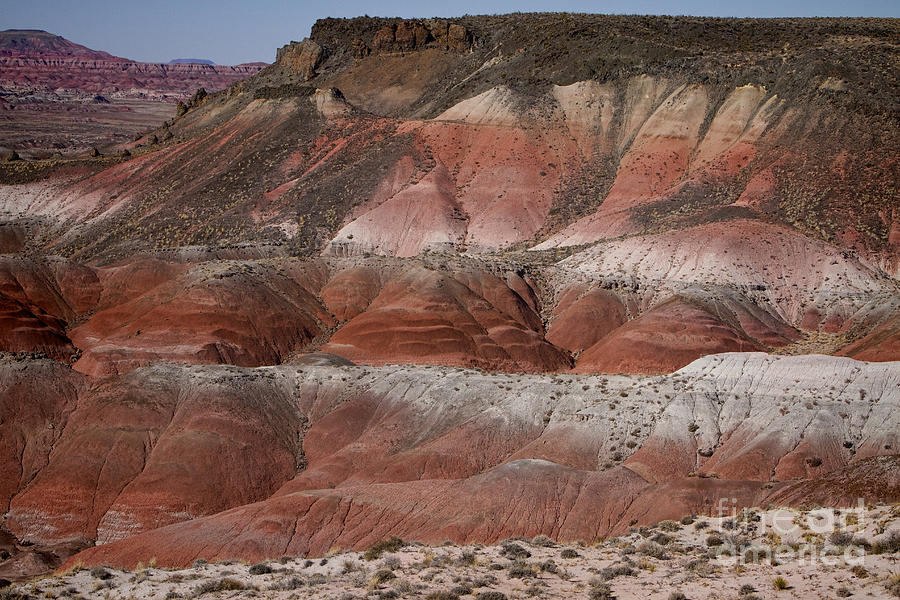 The Painted Desert  8018 Photograph by James BO Insogna