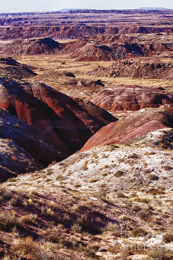 The Painted Desert  8023 Photograph by James BO Insogna