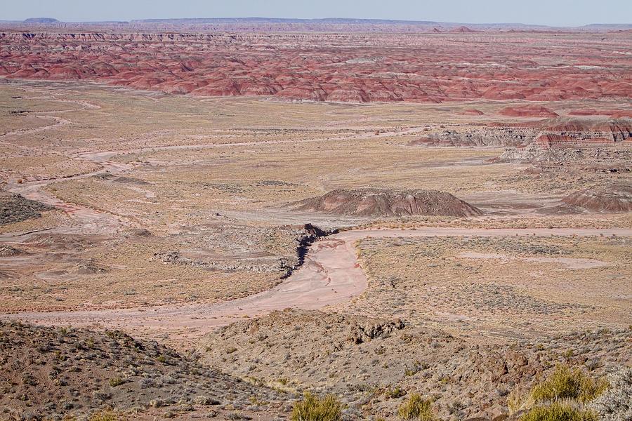 The Painted Desert  8042 Photograph by James BO Insogna