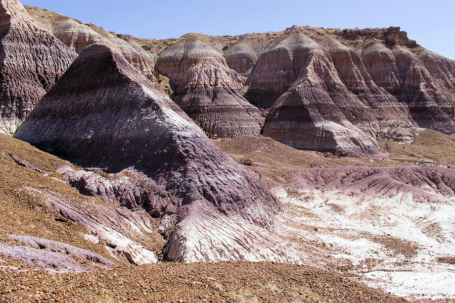 The Painted Desert Photograph by Adam Jewell