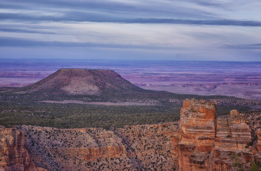 The Painted Desert Photograph by Tom Singleton