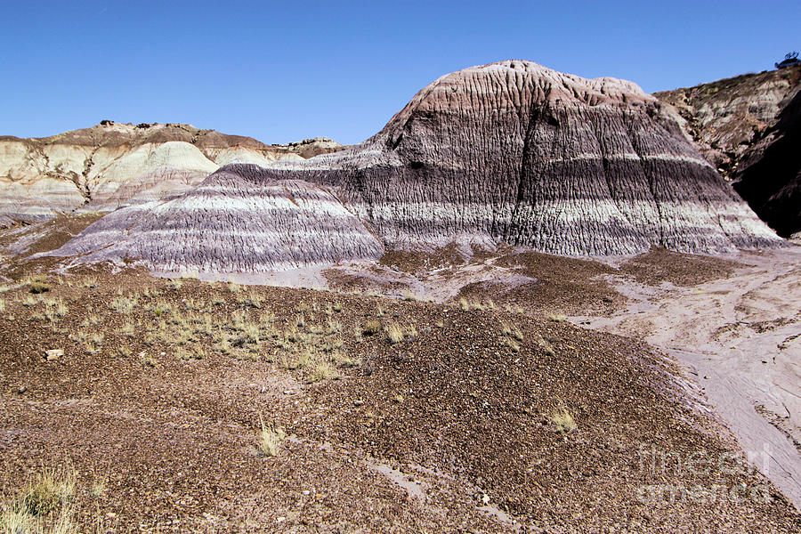 Petrified Forest National Park Photograph - The Painted Valley by Adam Jewell