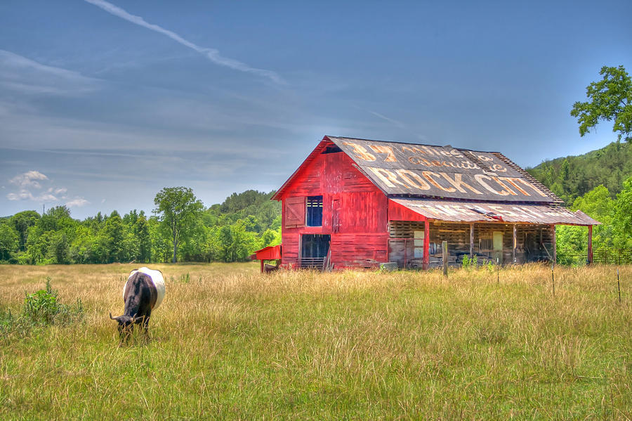 The Pasture Photograph by David Troxel