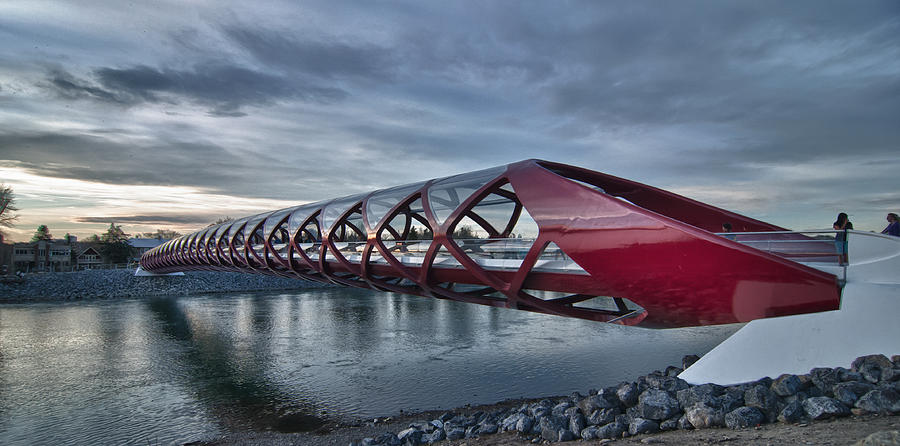 The Peace Bridge Photograph by Guy Whiteley