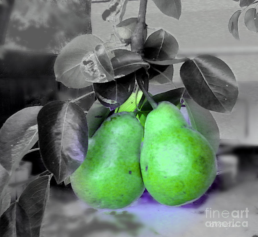 Pear Photograph - The Pears by Donna Bentley
