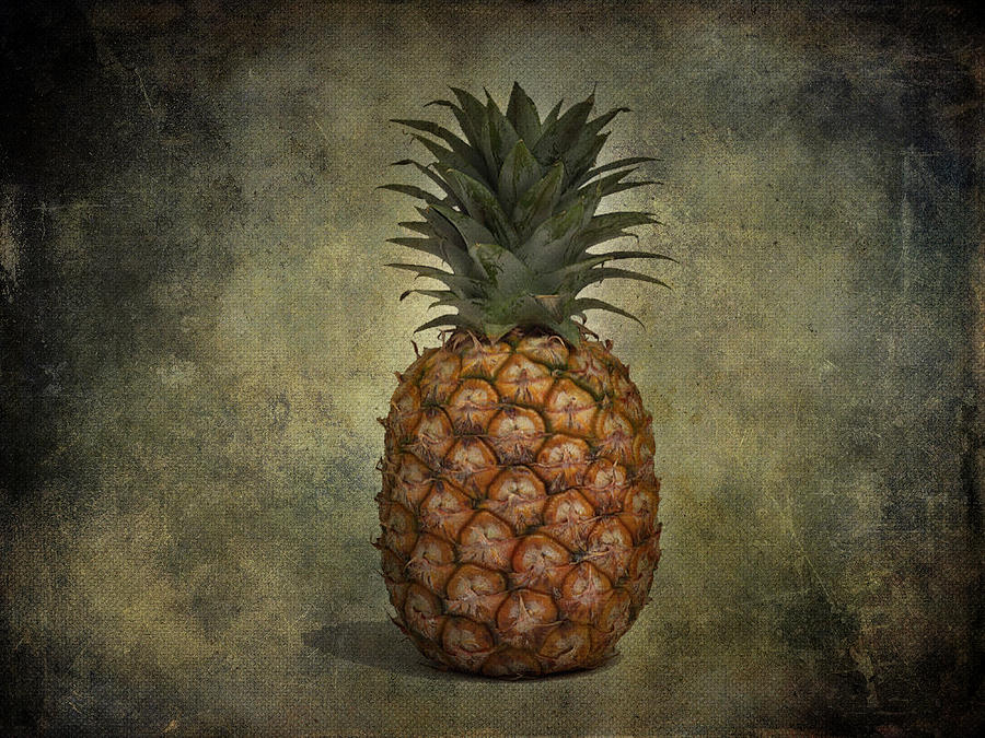 Pineapple Photograph - The Pineapple  by J C