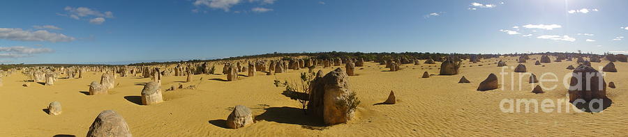 Landscape Photograph - The Pinnacles in Winter by David Peters