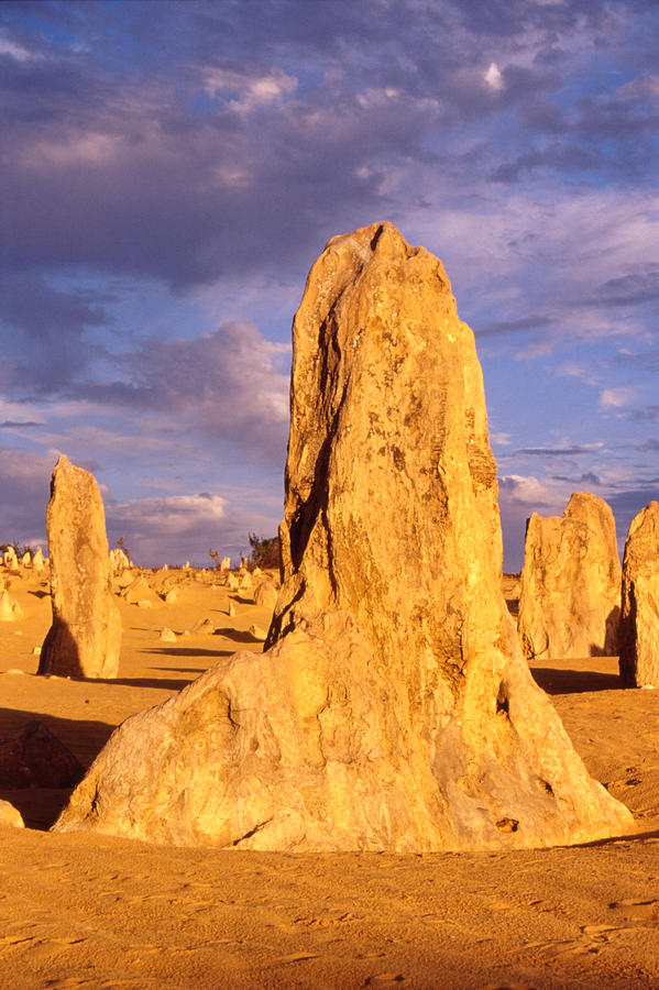 The Pinnacles Photograph by Robert Caddy