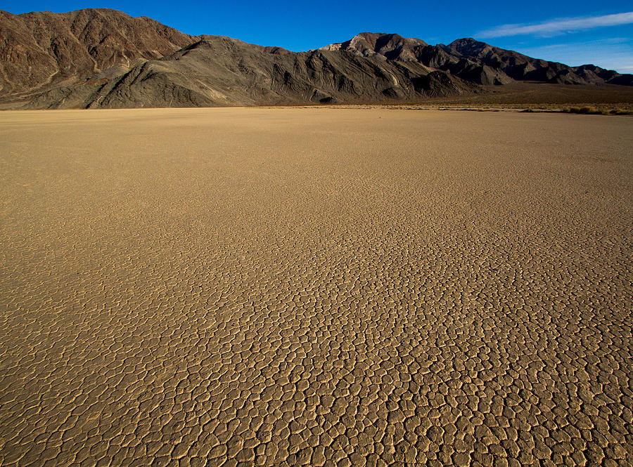 The playa Photograph by Jean Noren