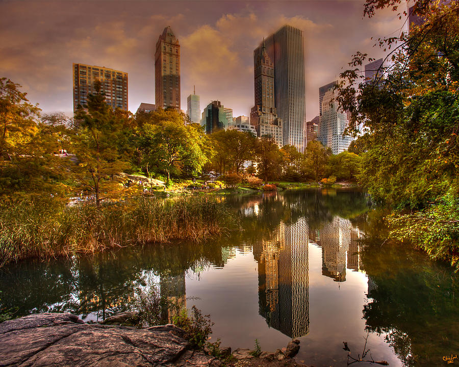 Central Park Photograph - The Pond by Chris Lord