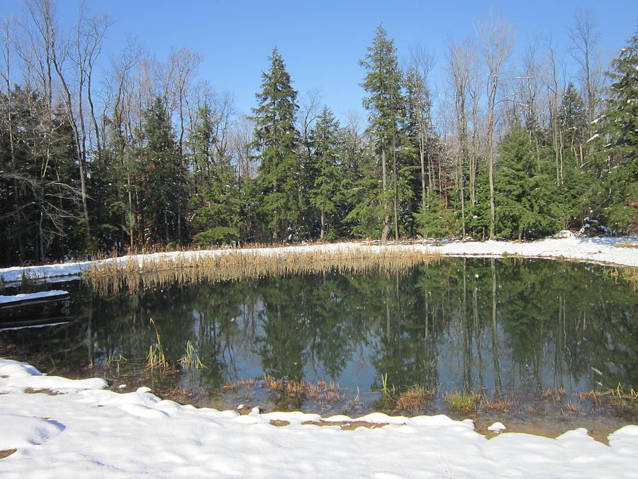 The Winter  Pond Photograph by Jeffrey Koss