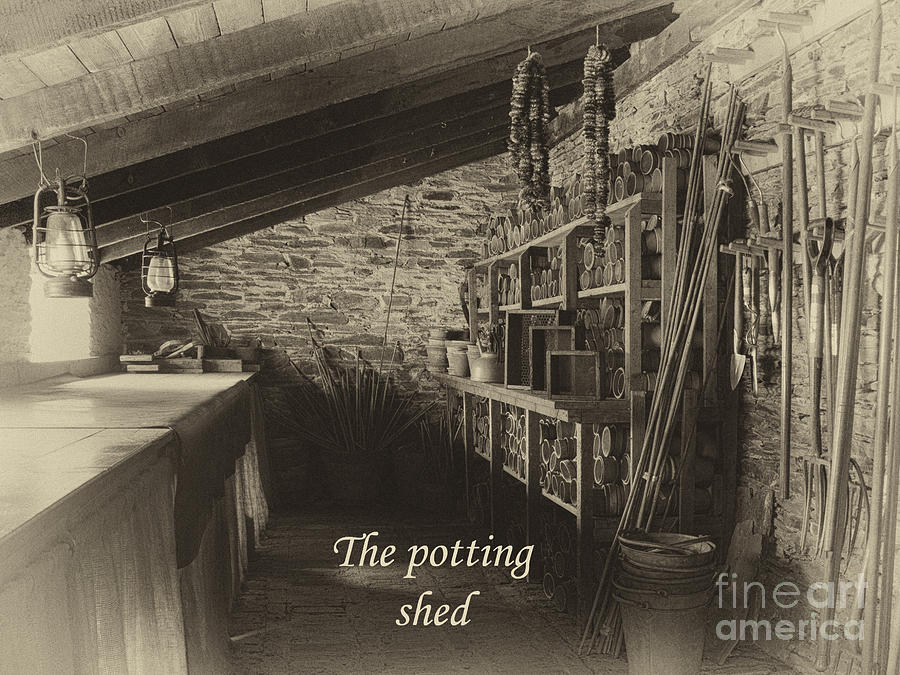The potting shed - aged Photograph by Steev Stamford
