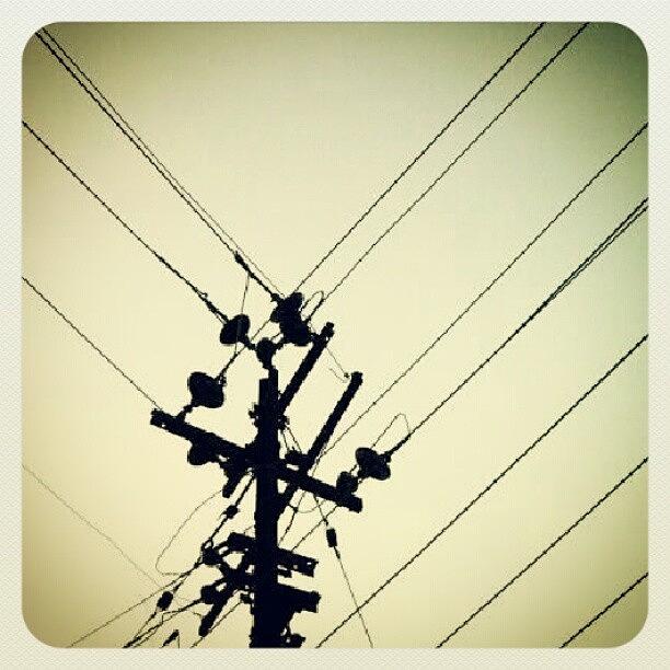 Electric Photograph - The Powerlines! by Dahlia Ambrose