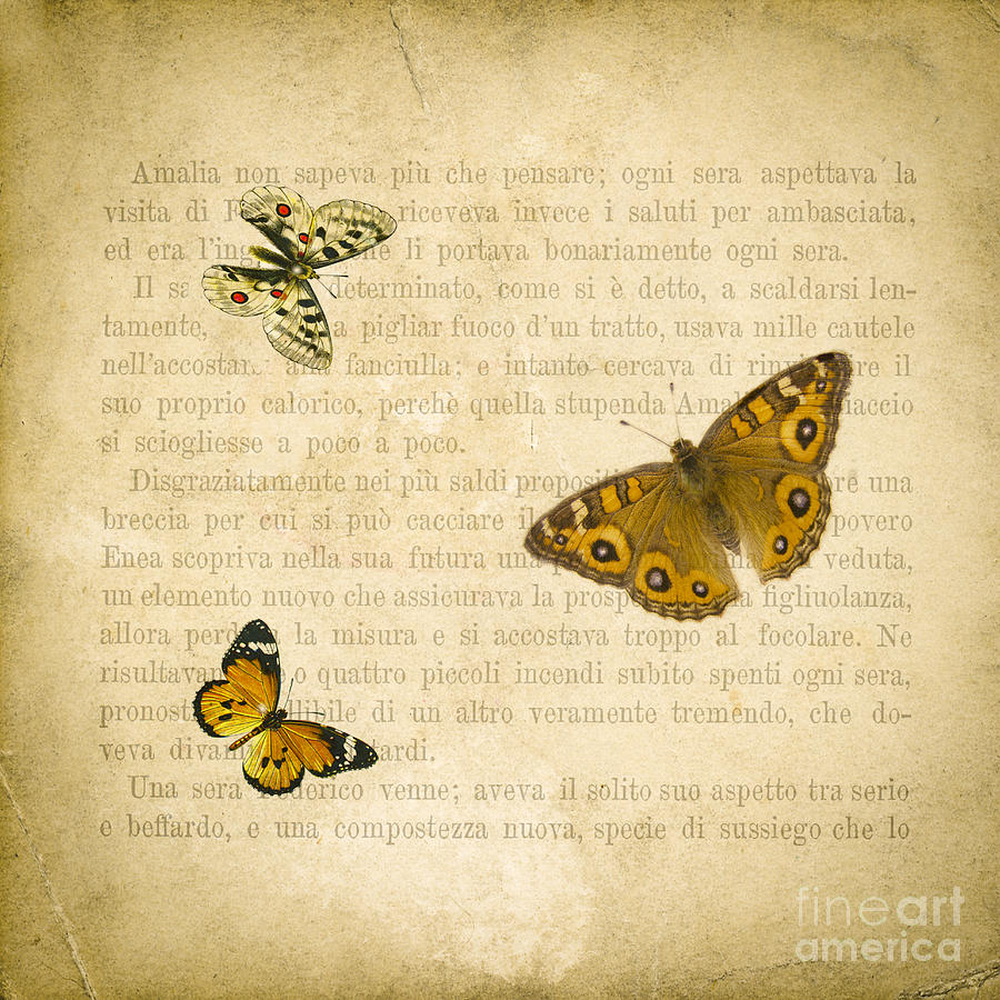 Butterfly Digital Art - The Printed Page 1 by Jan Bickerton