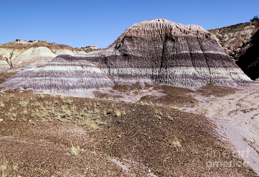 Petrified Forest National Park Photograph - The Purple Castle by Adam Jewell