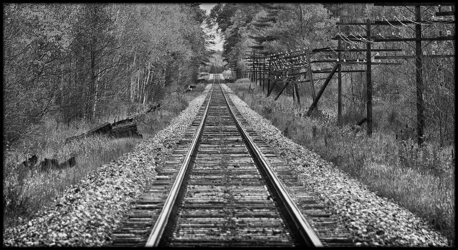 Summer Photograph - The Rails by Vincent Dwyer