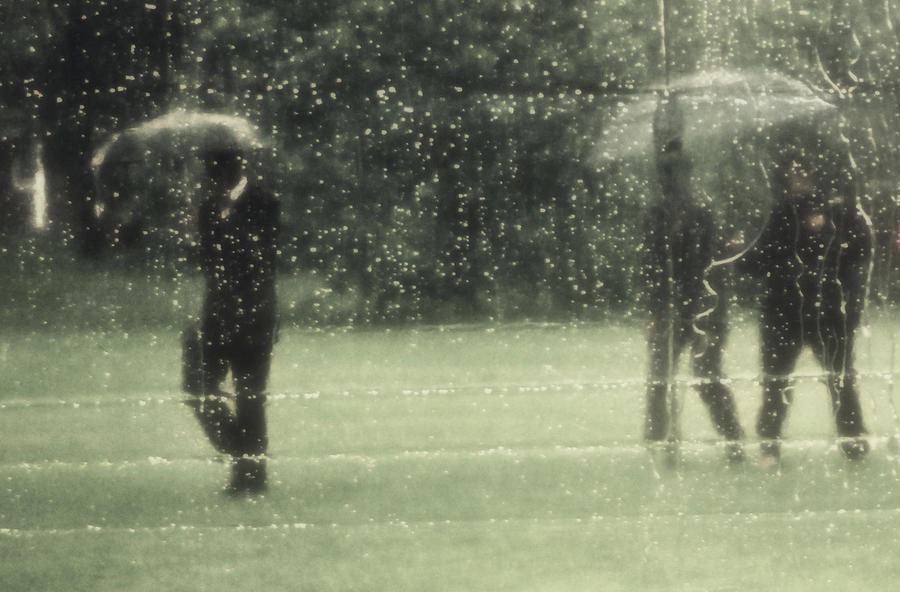 The Rain Shower Photograph by Marysue Ryan