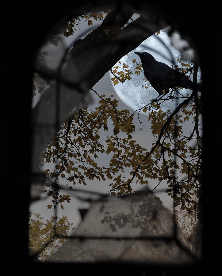 Halloween Digital Art - The Raven by Marie Gale