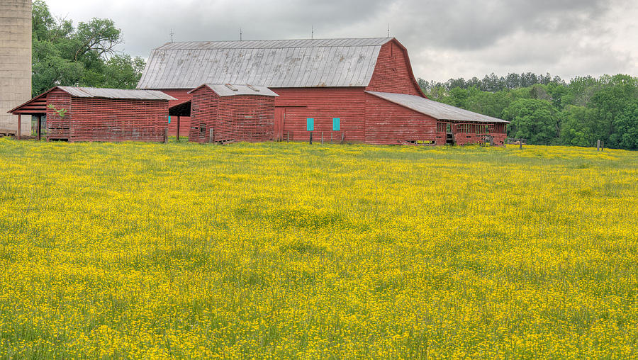 Barn Photograph - The Red Barn by JC Findley