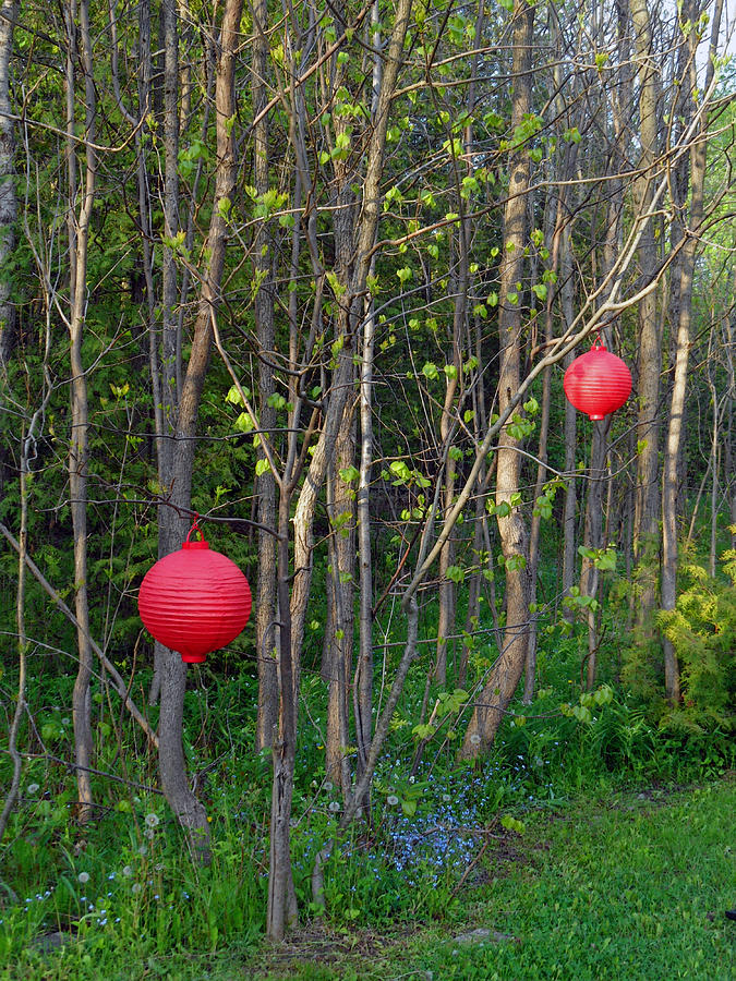 The Red Globes Photograph by Cyryn Fyrcyd