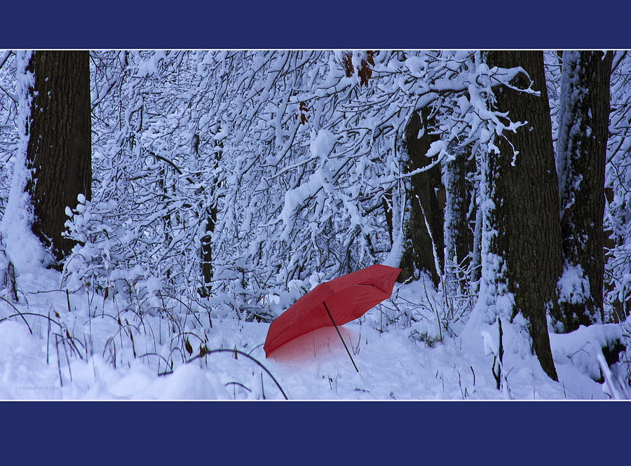 Winter Photograph - The Red Umbrella by Ron Jones